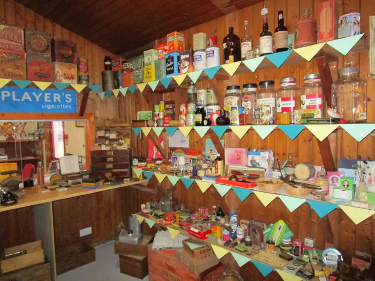 Museum artifact showcase